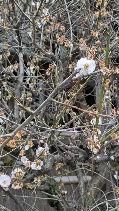 後白河院御聖蹟 法住寺(京都府)