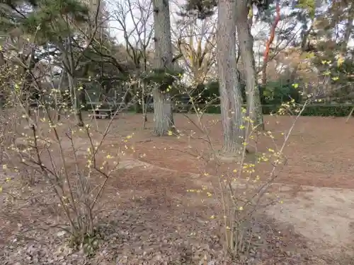 菅原院天満宮神社の自然