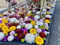 武蔵野坐令和神社の{uncategorized: "未分類", other: "その他", undefined: "問題あり", building: "その他建物", grave: "お墓", sacred_gate: "鳥居", guardian: "狛犬", statue: "像", buddha: "仏像", history: "歴史", nature: "自然", garden: "庭園", animal: "動物", pagoda: "塔", temizu: "手水舎", mountain_gate: "山門・神門", sanctuary: "本殿・本堂", subordinate: "末社・摂社", art: "芸術", scenery: "景色", jizo: "地蔵", ema: "絵馬", goshuin: "御朱印", omikuji: "おみくじ", items: "授与品その他", amulet: "お守り", goshuincho: "御朱印帳", eats: "食事", festival: "お祭り", votive_dance: "神楽", shichigosan: "七五三参", wedding: "結婚式", experience: "体験その他", initially: "初詣", around: "周辺", anti_infection: "感染症対策"}