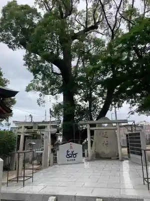 布忍神社(大阪府)