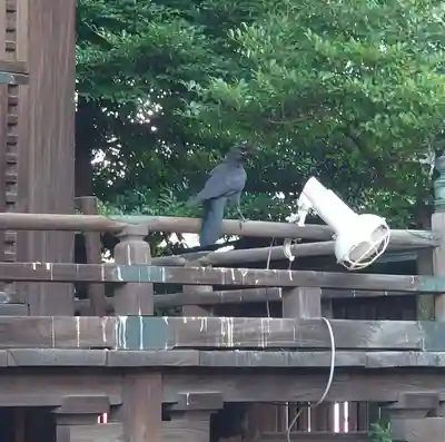 荏原神社(東京都)