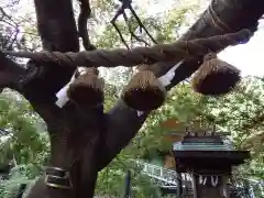 本牧神社(神奈川県)