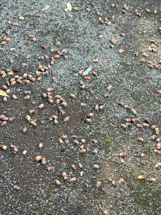 高藏院(東京都)