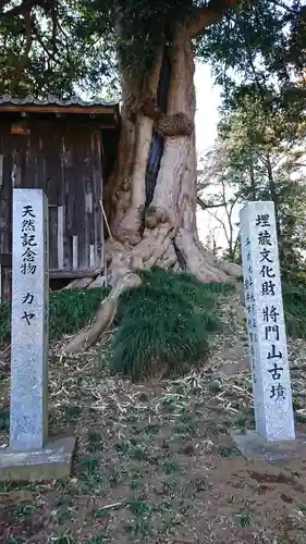 神田山延命院の自然