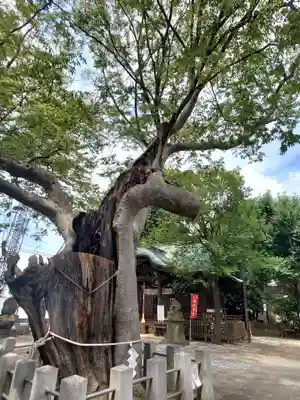 阿邪訶根神社(福島県)