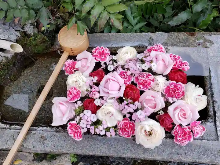 本郷氷川神社(東京都)