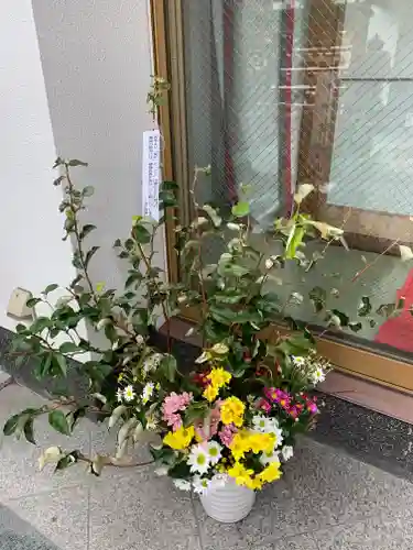 市比賣神社の自然