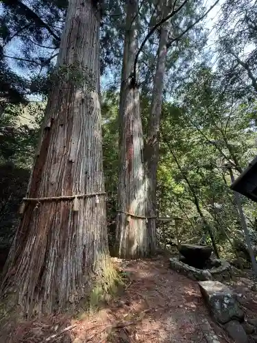 大馬神社(三重県)