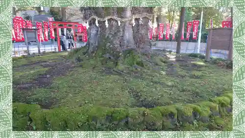 秩父今宮神社(埼玉県)
