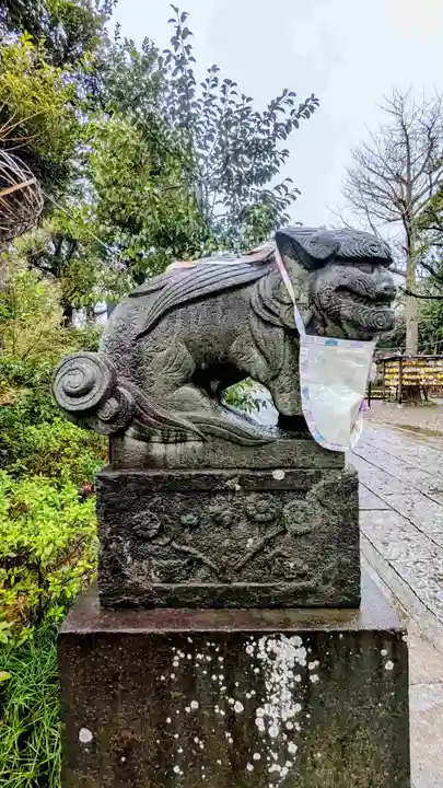 菊田神社の狛犬