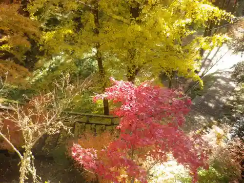 建長寺 半僧坊の自然