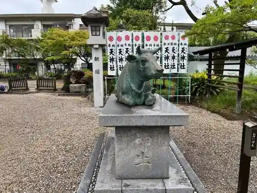 島田神社の狛犬
