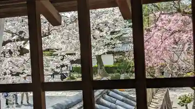 妙顯寺（妙顕寺）(京都府)