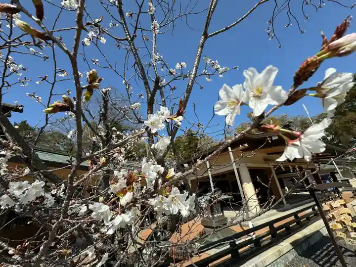 三重縣護國神社(三重県)