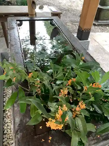 三ケ尻八幡神社の手水