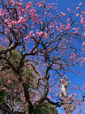 城前寺(神奈川県)