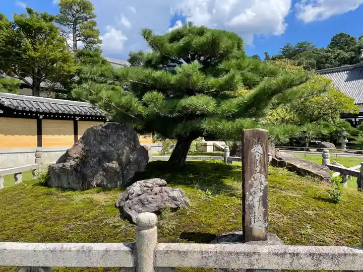 くろ谷 金戒光明寺(京都府)