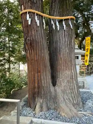 聖神社(埼玉県)
