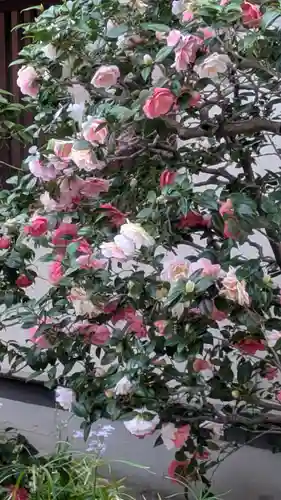 西方寺(京都府)