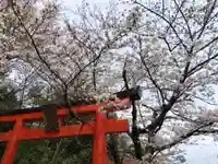 竹中稲荷神社(吉田神社末社)(京都府)