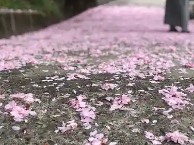 木舟山　順教寺の自然