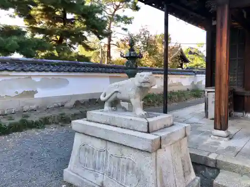 両足院の狛犬