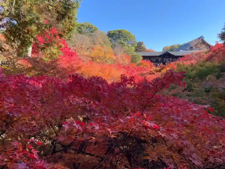 霊雲院(京都府)
