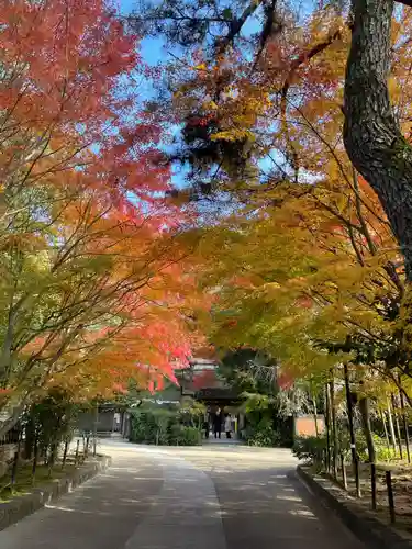 宇治上神社の自然