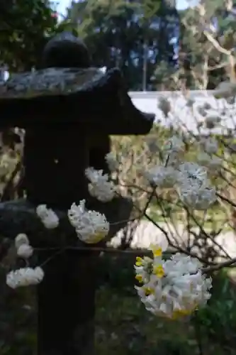 岩船寺の庭園