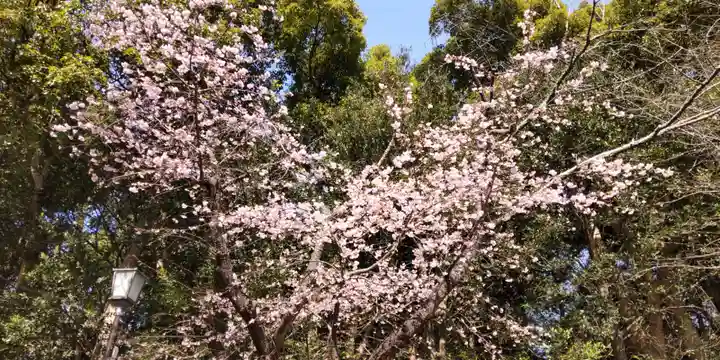 鶴岡八幡宮(神奈川県)