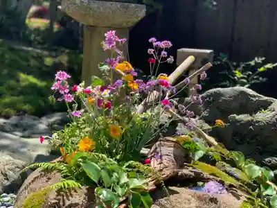 正寿院(京都府)