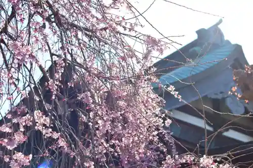 善龍寺(東京都)