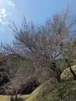 石内のお大師さん 金剛院(広島県)