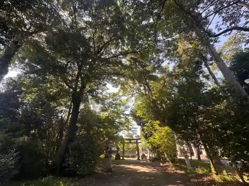 日若宮神社(滋賀県)