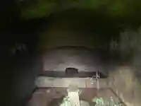 妙泉寺(千葉県)