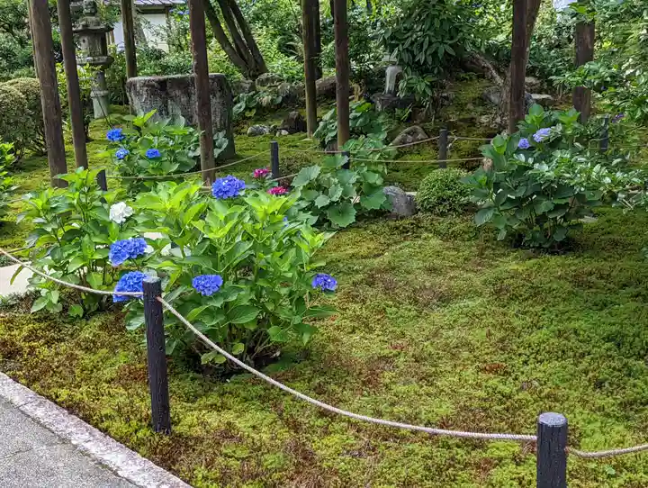 一條殿 新善光寺(京都府)