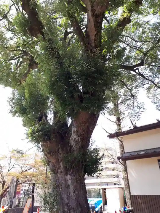 榴岡天満宮の自然