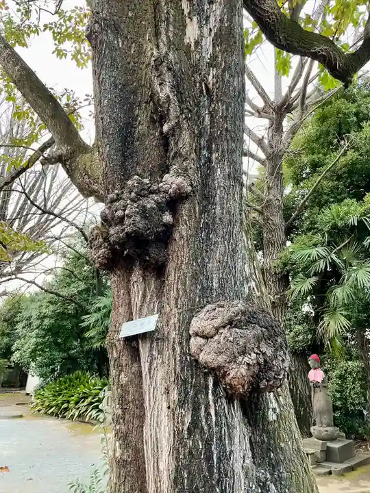 最勝寺教学院(東京都)