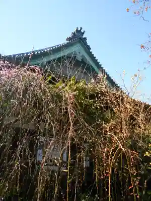 宝戒寺のその他建物