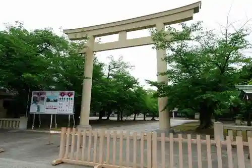 大阪護國神社の鳥居