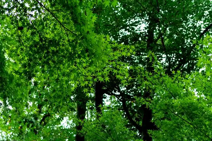 針名神社(愛知県)