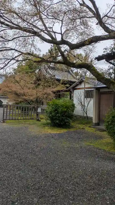 廬山寺(廬山天台講寺)(京都府)