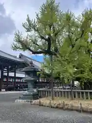 本願寺（西本願寺）(京都府)