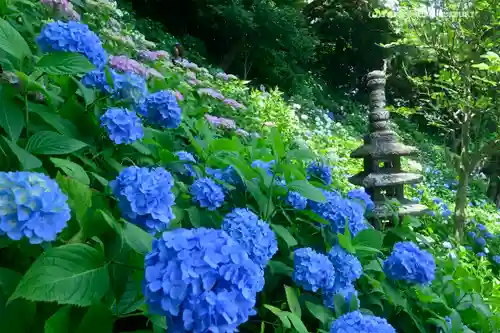 長谷寺のその他建物