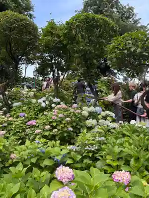 白山神社(東京都)