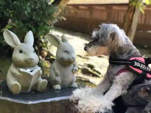 出雲大社の動物