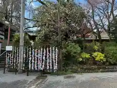 富士山本宮浅間大社(静岡県)