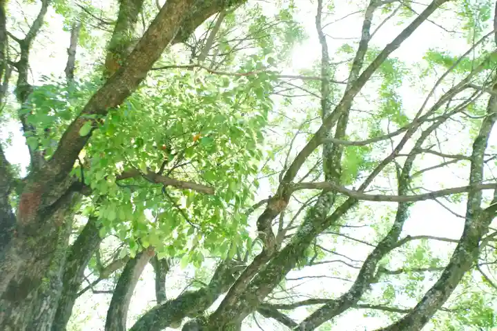 祇園神社(兵庫県)