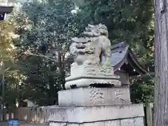 小幡神社の狛犬