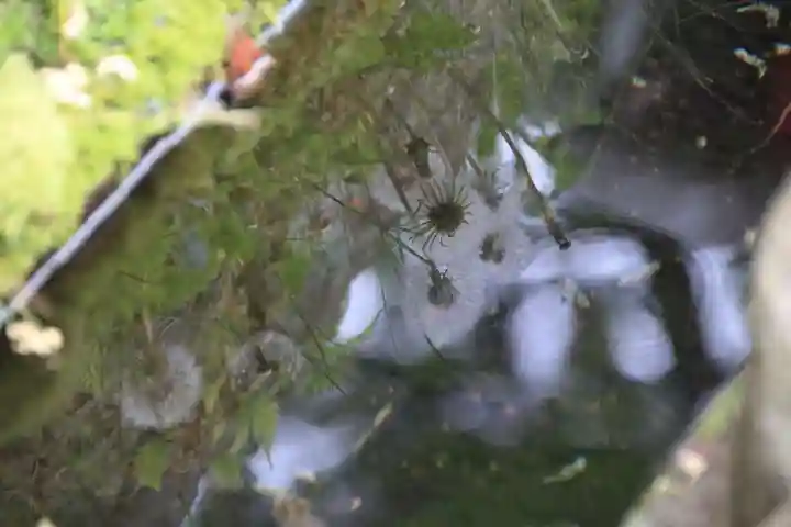 神炊館神社 ⁂奥州須賀川総鎮守⁂の自然